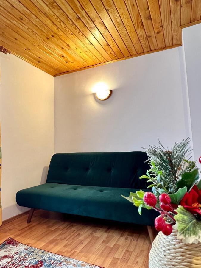 Vila Brad Predeal Extérieur photo